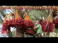 Download Lagu LUAR BIASA BEGINI PERTANIAN KURMA MODERN DARI NEGARA PENGHASIL KURMA TERBESAR DI DUNIA