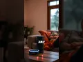 How to Connect Alexa to WiFi 3 Easy Steps Tutorial