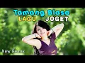 Download Lagu LAGU JOGET TERBARU - TAMANG BIASA || LAGU ACARA REMIX TERBARU