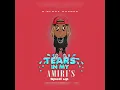 Download Lagu Tears in my Amiri’s (sped up) D-Block