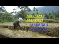 {Saluang minang} Mandeh MA IMBAU pulang...Anak rantau pasisia dangakan ko..
