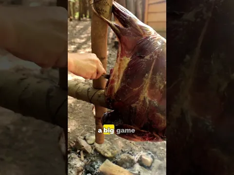 Spit roasting an entire deer!