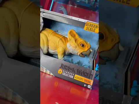 La mejor Hammond Collection? 🥰😍