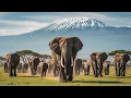 Download Lagu Secrets of Natural Wonders in Africa – Most People Will Never See