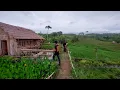 Download Lagu Hidup di desa,, Rumah tengah sawah bikin suasana hati tenang dan damai