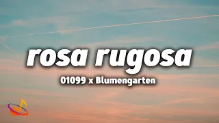 01099 X Blumengarten ROSA RUGOSA Lyrics 
