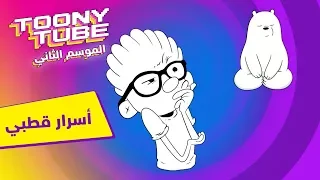 الموسم الثاني توني تيوب أسرار قطبي كرتون نتورك 
