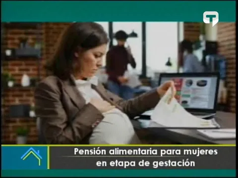 Pensión alimentaria para mujeres en etapa de gestación