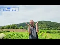 Natural Farming Isn't "Hands-Off"! Tips for Plant Communication - Coming to you from the EM Resea...