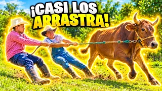 OMG! La vaca se puso Rebelde y casi nos Arrastra 😱 