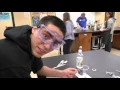 Biology Agar Cube Experiment