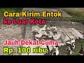 Lagu Cara Kirim Entok ke Luar Kota || Jauh Dekat Cuma Rp 100 Ribu