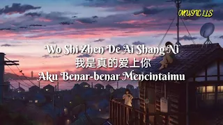 Download Wo Shi Zhen De Ai Shang Ni 我是真的爱上你 (Aku Benar-benar Mencintaimu) MP3