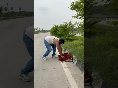 Please drive slow 🥹 #dog #sad #humanity #helping #help #youtubeshorts #shorts #trending #sad