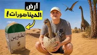 رحلتي عبر الزمن في الصحراء التونسية 🇹🇳 | كيف كانت تونس قبل 100 مليون سنة ؟