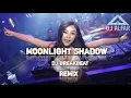 Download Lagu DJ Moonlight Shadow DJ Breakbeat Remix