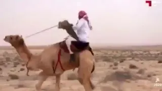سق يا سعد مد النظر      دندنها