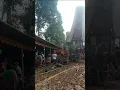 Download Lagu Banyak babi sukuran rumah adat toraja mengrara tongkonan