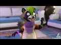 Racoon Belly Inflation TikTok