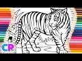 Tiger Coloring Pages Wild Tiger is Walking and Ready for Action Coloring Pages Tv