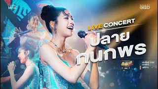 [บันทึกการแสดงสด] ปลาย กนกพร Live คอนเสิร์ต ตลาดเพลิน วังตาผิน จ.ระยอง