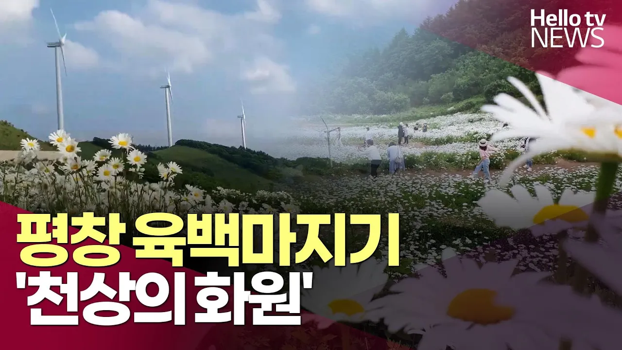 관련 영상 썸네일
