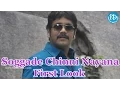 Download Lagu Nagarjuna New Movie Soggade Chinni Nayana First Look