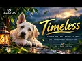 DunduLuttu - Timeless 🌧️ Relaxing Rain & Calm Music