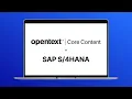 Integration to SAP Core Content