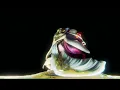 Röyksopp - Profound Mysteries III | Continuous Visual Experience