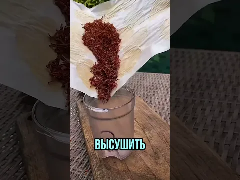 10 мая 2026 г.