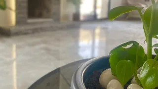 شرين عبد الوهاب طول الليالي جميلة جدا 