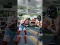 Floyd Mayweather Jr. counterattacks during a sparring session.