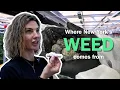 From Soil to Spark How Legal Weed is Grown in New York Inside MFNY