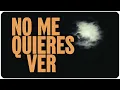Nicky Jam x Beéle - Ta´ Bien (Official Visualizer)