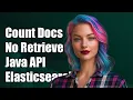 Elasticsearch Java API Count Documents Without Retrieving Them