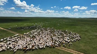 World Congress of Rangeland and Pastoral Livestock Herders