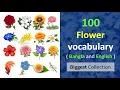 Download Lagu Flowers of Bangladesh- 100 Flowers (Bangla and English names)