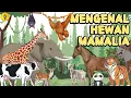 Lagu Belajar Mengenal Hewan - Hewan Mamalia - Belajar Setelah Bermain