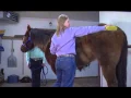 Wyoming 4-H Horse Safety Certification
