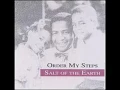 Salt Of The Earth Order My Steps