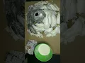 DIY Volcano Model