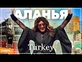 Download Lagu Turkey's Biggest Surprises: Why Cats Live Like Kings \u0026 Men Need Their Mom's Approval!