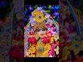 Download Lagu Bhajan aagar mein Radha Radha gaon to kya milane a Gaya Radhe Radhe