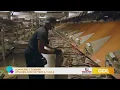 GDL UPS is hiring at the Louisville World Port