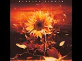 Burning Flower - HANA