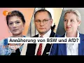 Download Lagu „BSW und AfD machen sich untereinander salonfähig“ | Politikwissenschaftler Höhne bei ZDFheute live