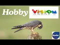 Speller How to keep your vision healthy Hobbies are what you want to do