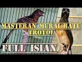 Download Lagu Masteran Murai Batu Trotol FULL ISIAN . Dijamin figter......