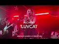 Luvcat - Alchemy - Live 4k @ Manchester Academy 3, 21 February 2025